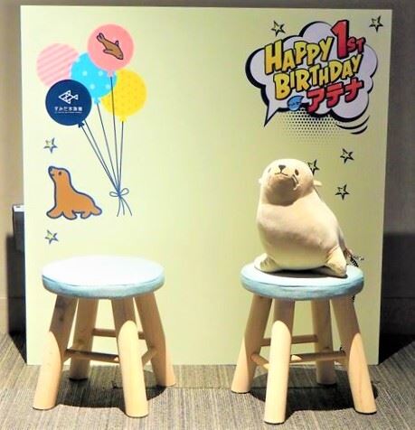 フォトセッションバースデーパネル