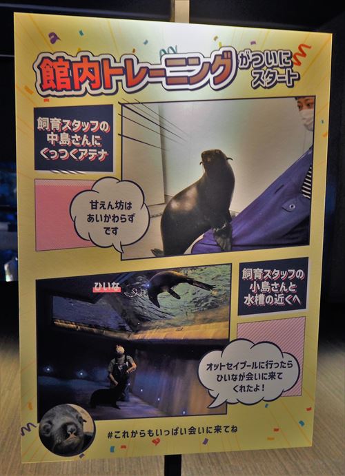 成長の軌跡フォトパネル