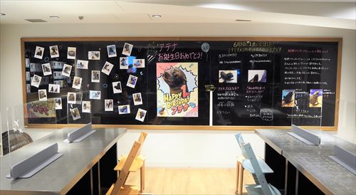 アクアアカデミーの壁面の写真