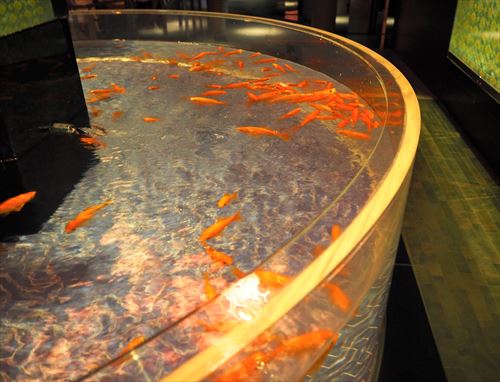 すみだ水族館の金魚