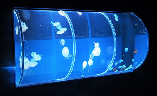 すみだ水族館のクラゲ