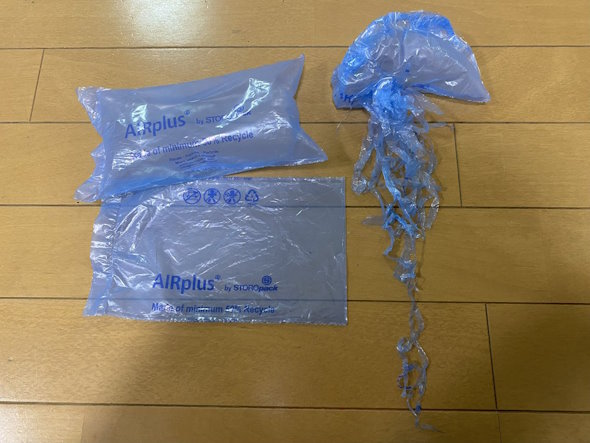 カツオノエボシ