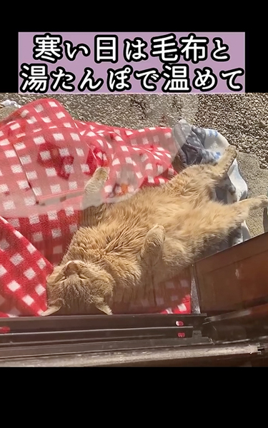 寒い日は湯たんぽ