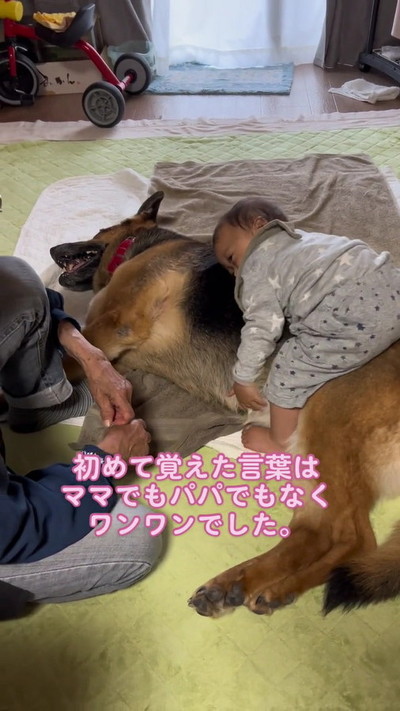 抱きつく赤ちゃんと犬
