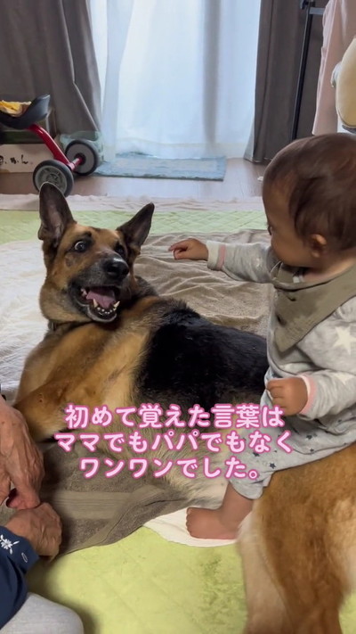 笑顔の犬と赤ちゃん