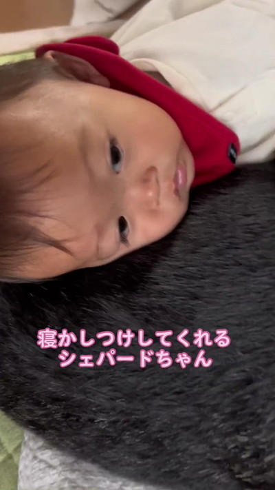 寝かしつける犬と赤ちゃん