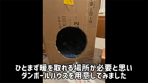 段ボールハウス