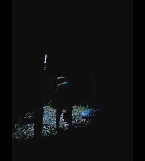 コスプレイヤー 森の中 電池が切れて 真っ暗 照明 怖すぎる ホラー 映像 ひぐらしのなく頃に