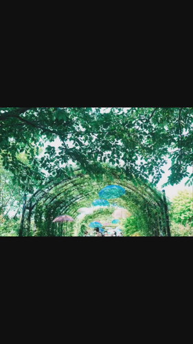 「7歳の娘にカメラを持たせてみたら、、」