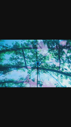 「7歳の娘にカメラを持たせてみたら、、」