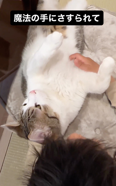 おなかさする息子