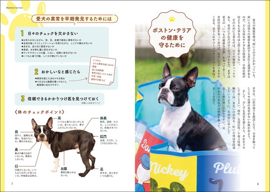 ボストンテリアのチェックポイント