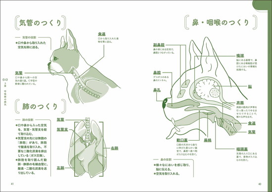 イラスト解説