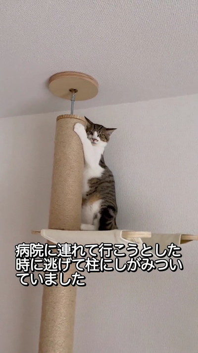 オススメ