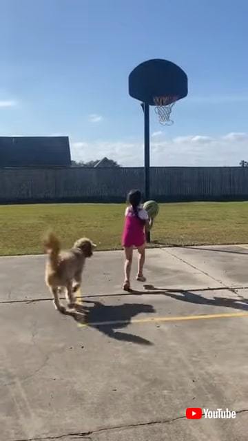 バスケの練習をする女の子