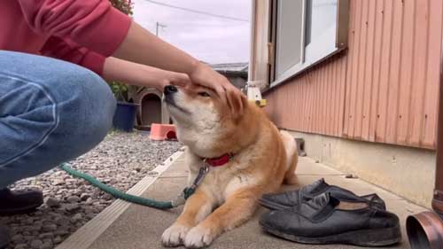 おだやかなやりとり