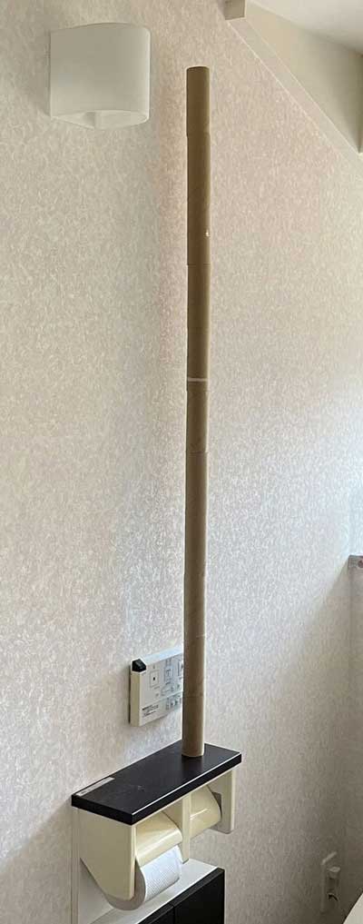トイレットペーパーの芯 積み上げ 倒した人が捨てる ルール 新記録 高い