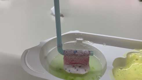 職場 グミ 錬成 同僚 喜びすぎて死んだ ヤムチャ 等価交換 グミつれた