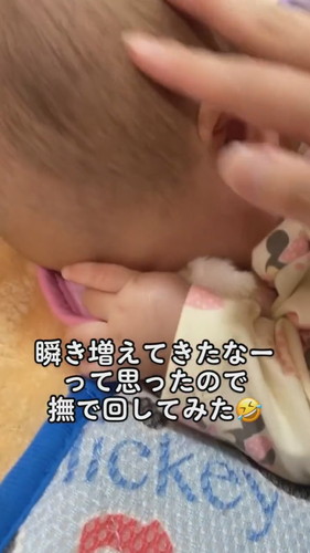 「生後7ヶ月最後の日」