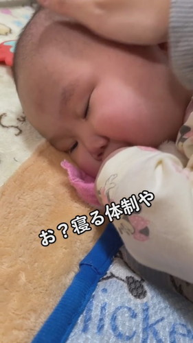 「生後7ヶ月最後の日」