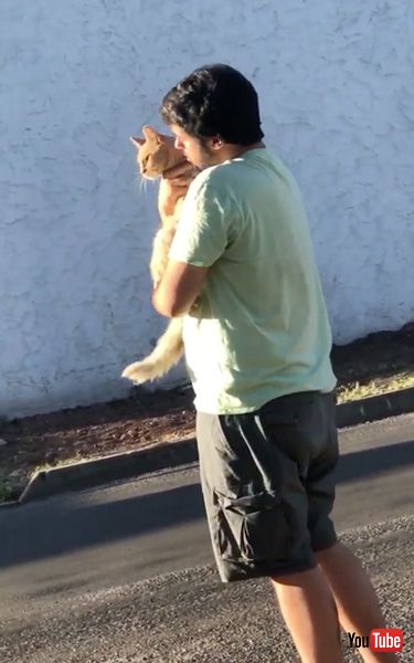 抱っこされる猫猫