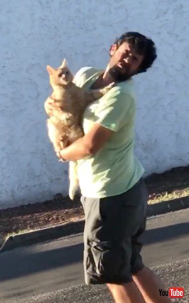 渾身の一撃をお見舞いする猫