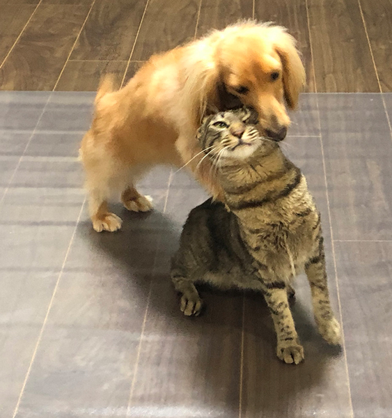 キスがしつこい