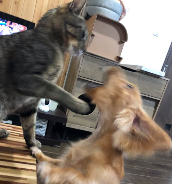 キスがしつこい