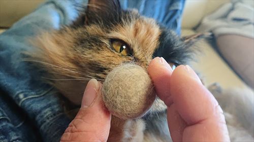 猫の抜け毛玉
