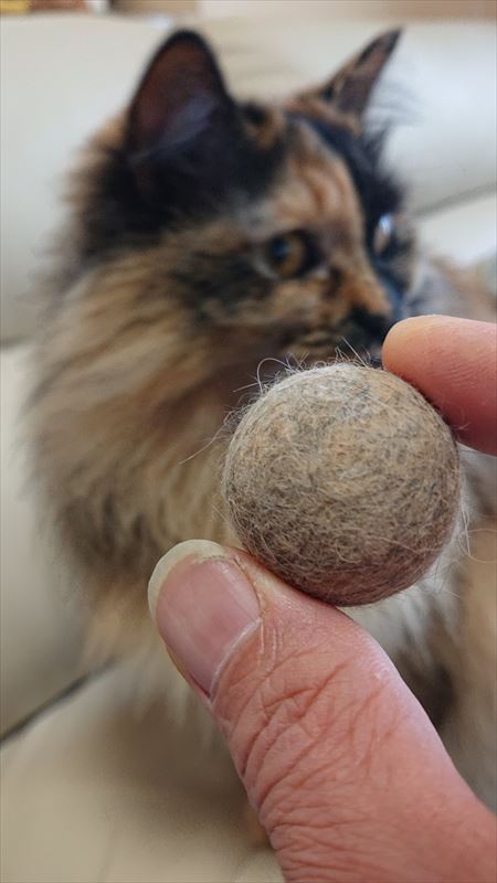 猫の抜け毛玉