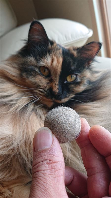 猫の抜け毛玉