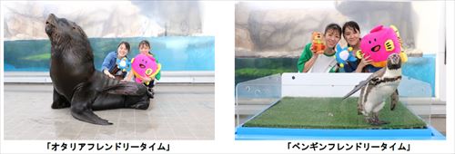 たべっ子×うみの杜水族館のペンギンとオタリア