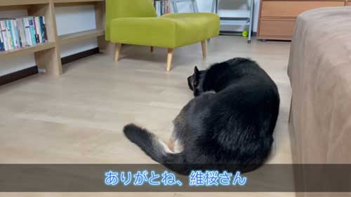 お見舞いに来たジャーマンシェパード