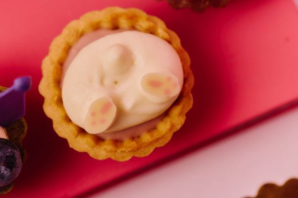 桃とライムのムース／ブルーベリーのムース／生チョコタルトレット