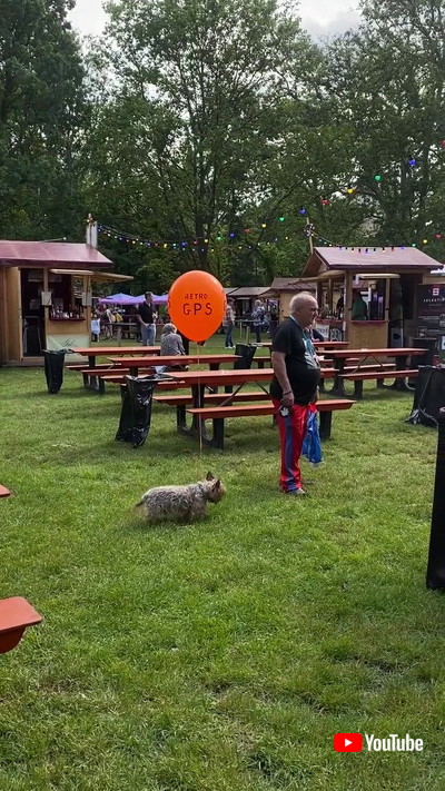 散歩するワンコ