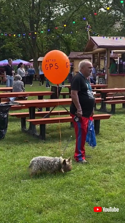 散歩するワンコアップの画像