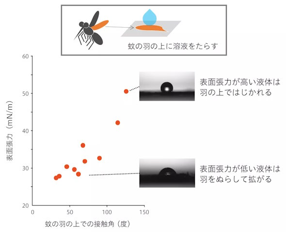 花王 蚊駆除新技術