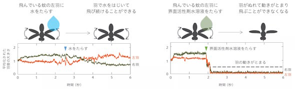 花王 蚊駆除新技術