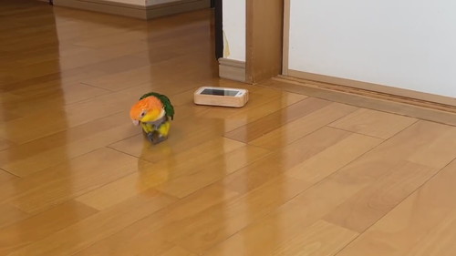 おすすめ