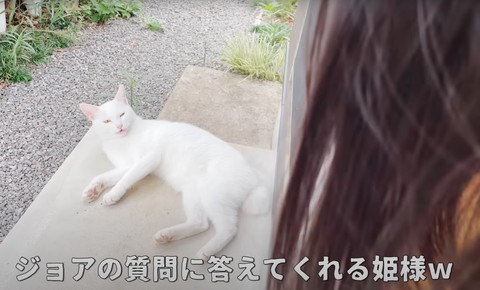 ジョアの質問にテロップ