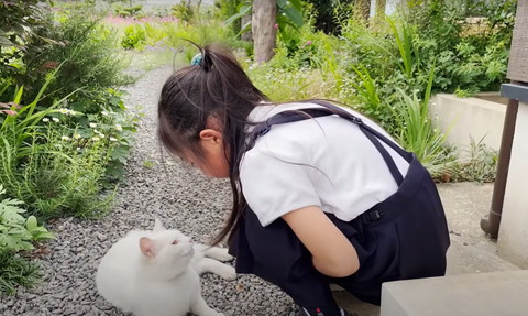 見つめ合う娘さんと猫