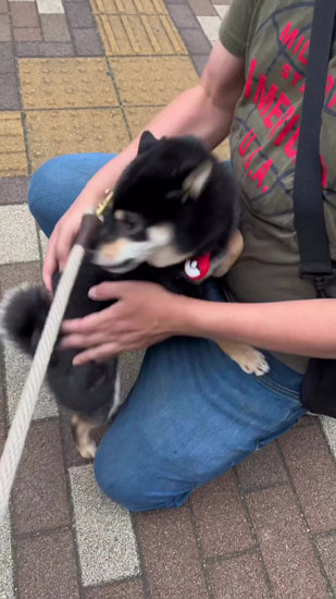 離れないごまちゃん