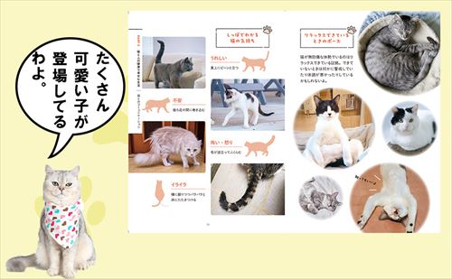 誌面