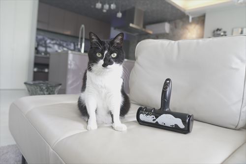ぱくぱくローラーと猫