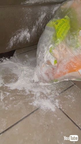 小麦粉をかぶった子犬