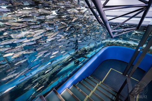森の中の水族館