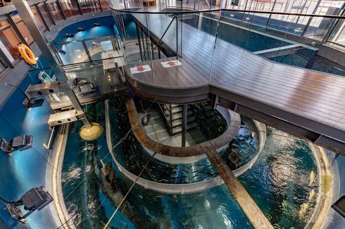 森の中の水族館