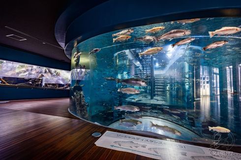 森の中の水族館