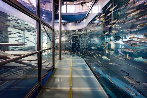 森の中の水族館