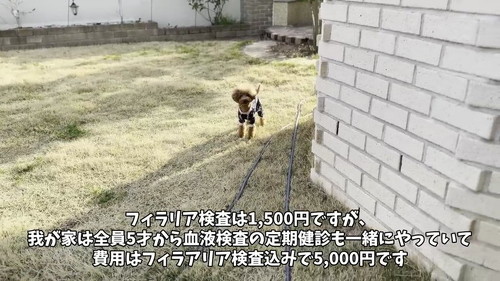 5000円です